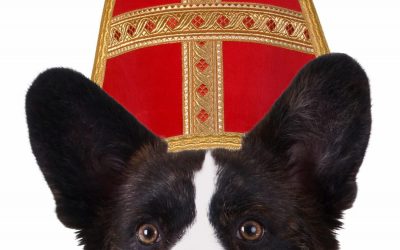 Hond en Sinterklaas