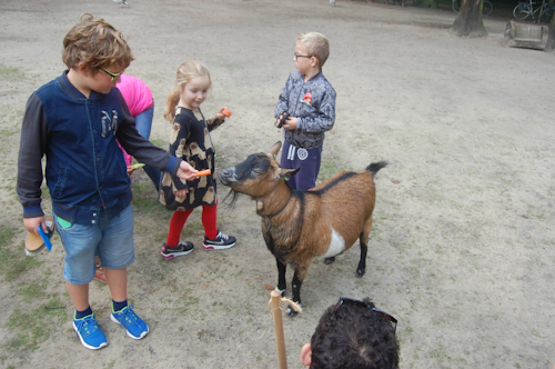 Nieuwsflits Juni 2018