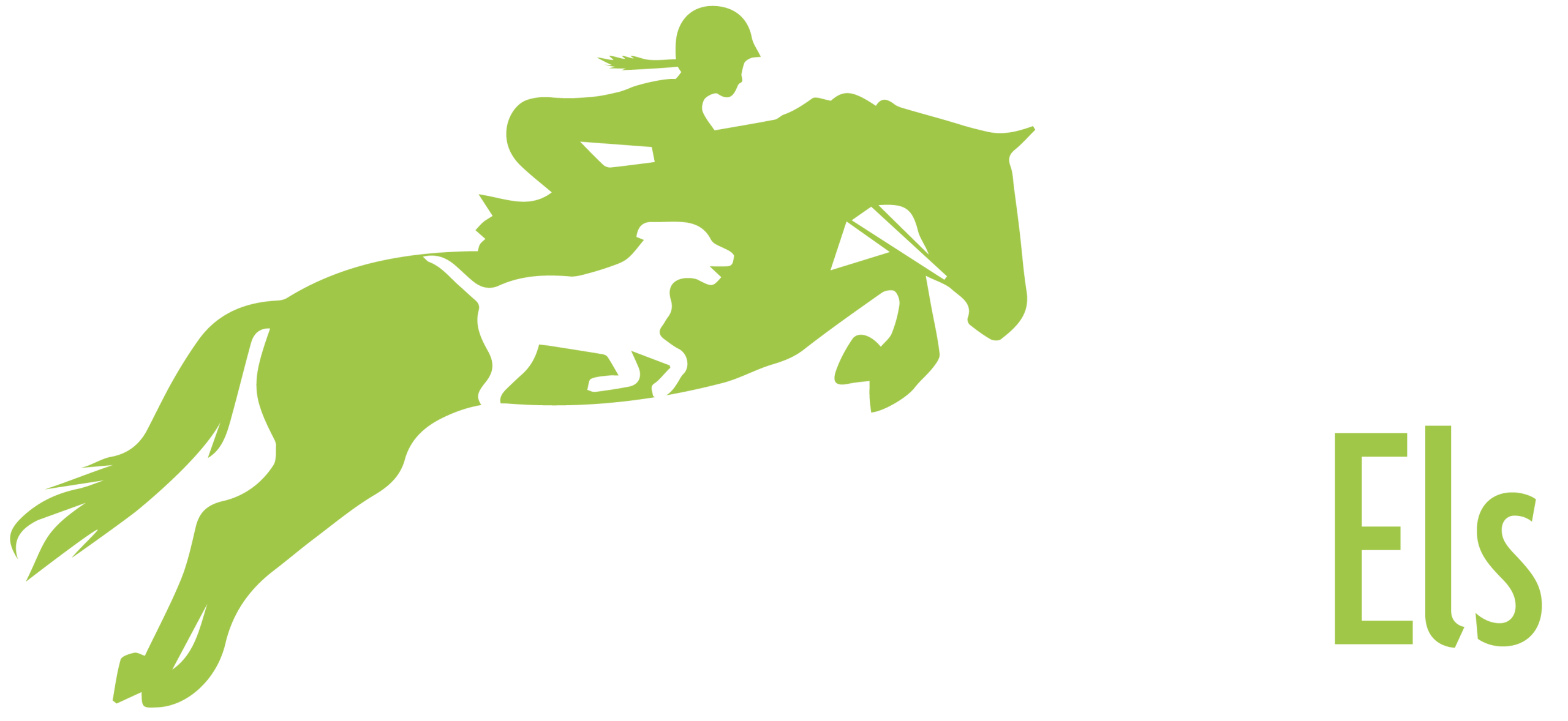 Dierfysio Els logo