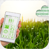 Digitaal Café: Een app als natuurgids - Denderwindeke