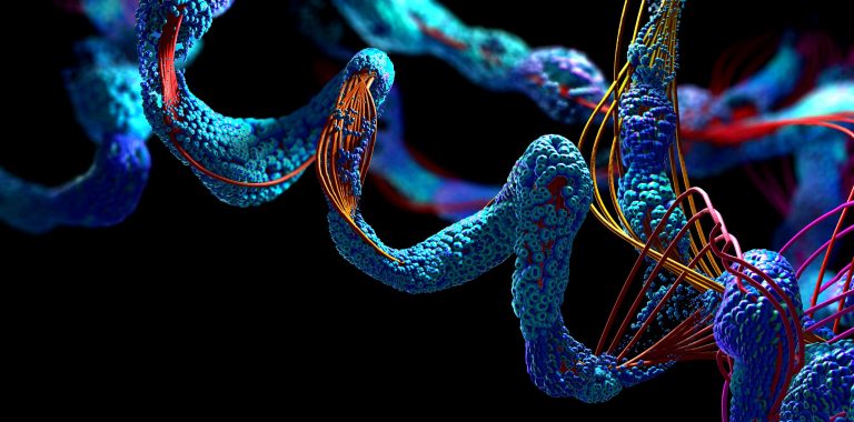 Nobel Prize celebrates AI’s role in protein structure innovation