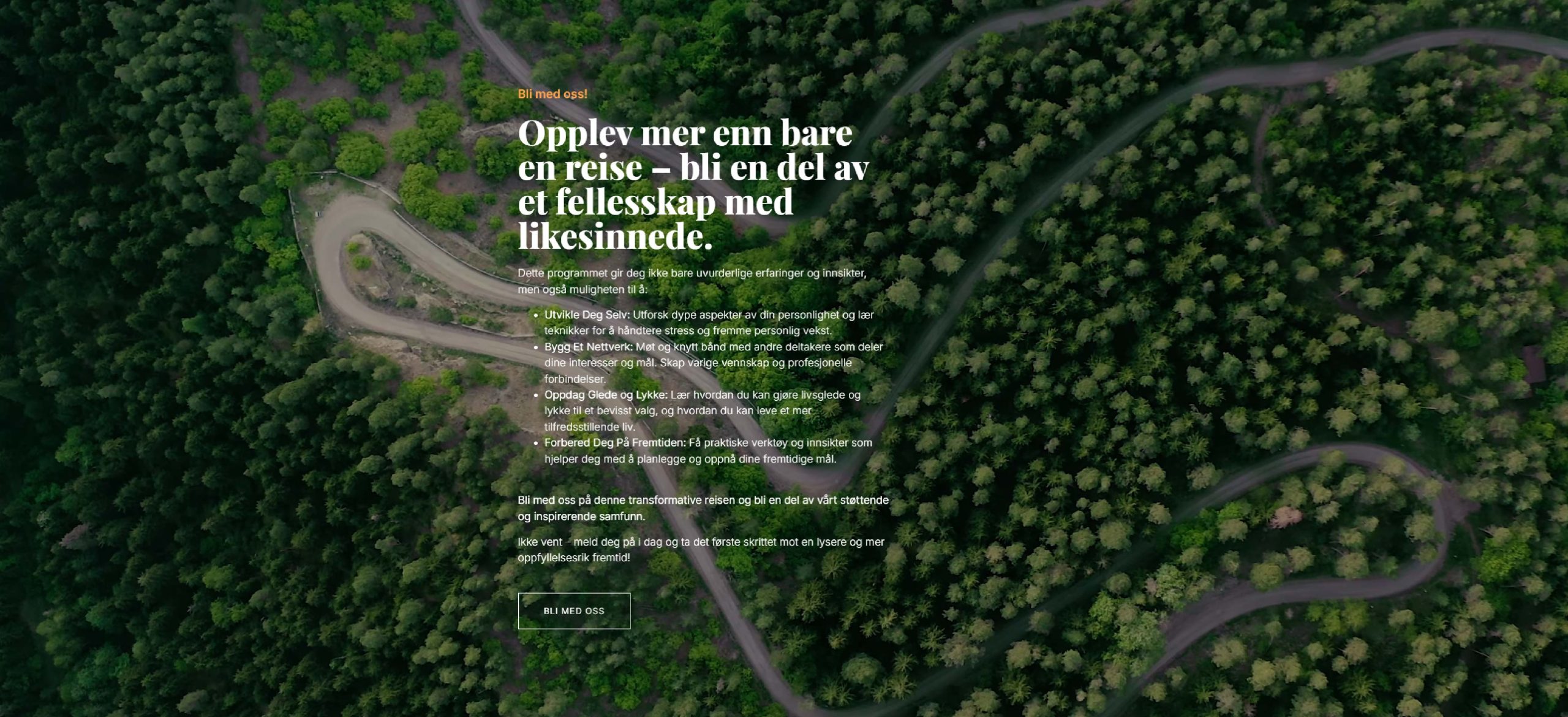 Sosiale medier