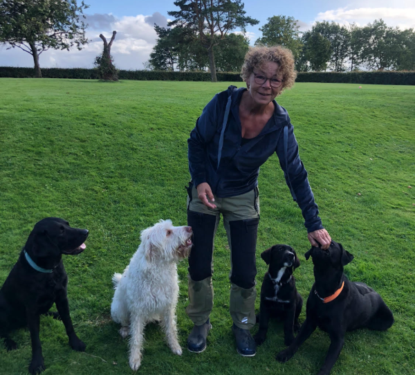 Workshop Børn og hund, Torsdag d. 24. juli kl. 9.45-11.15 - Image 2
