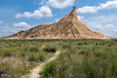 DSC1485