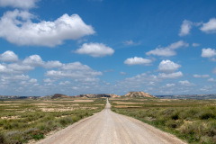 DSC1496
