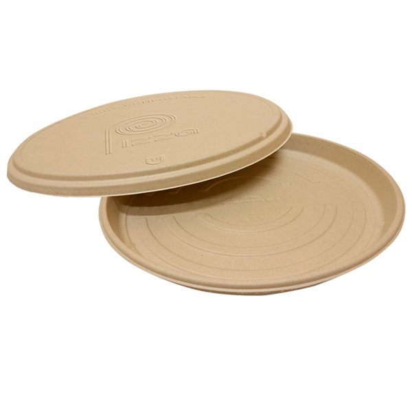 Pizza container lid