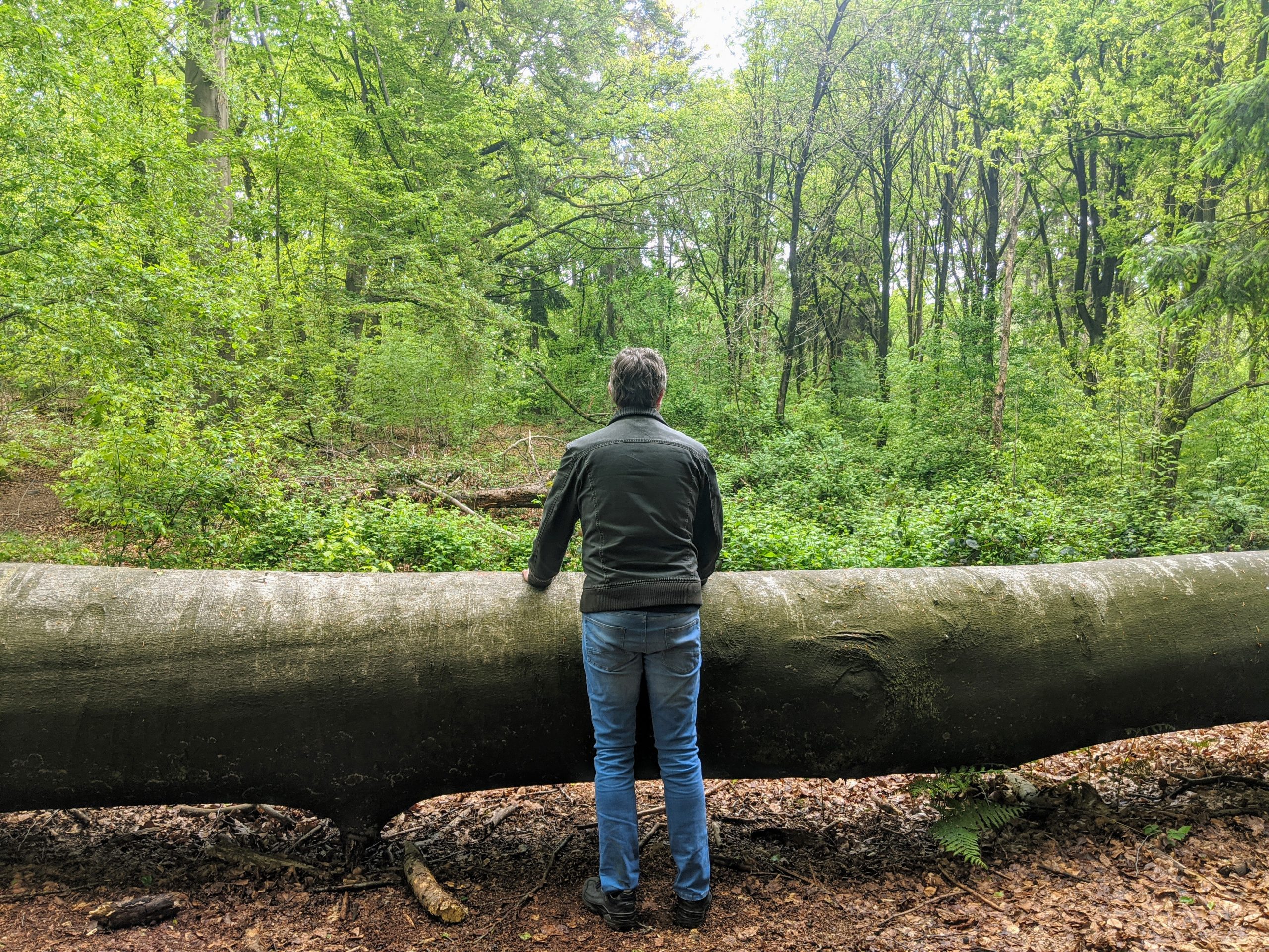 Autisme diagnose op latere leeftijd. Dit is ook autisme