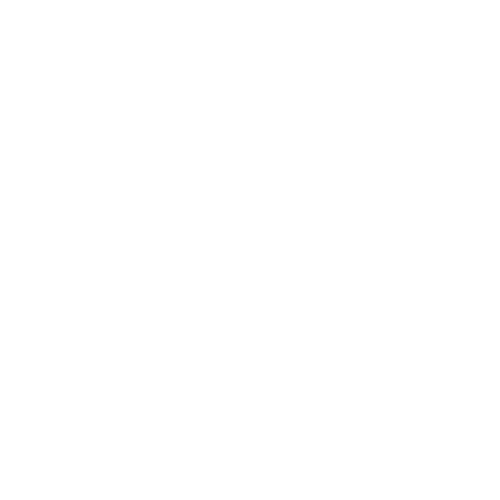 LAP logo weiß