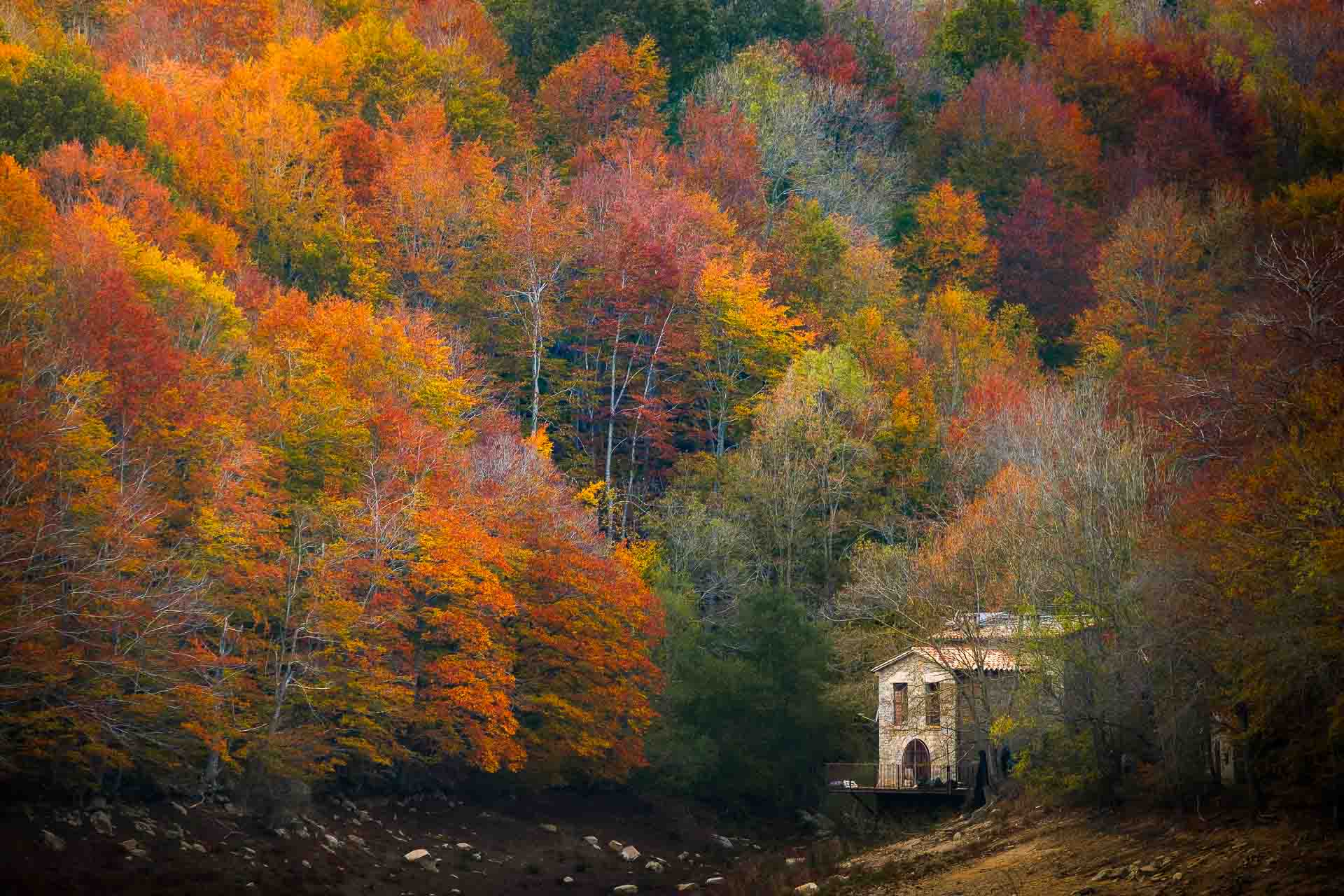 DIVCreativo – Montseny y sus colores en otoño @ DIVcreativo – David de la Iglesia – Fotografía de paisaje Montseny y sus colores en otoño