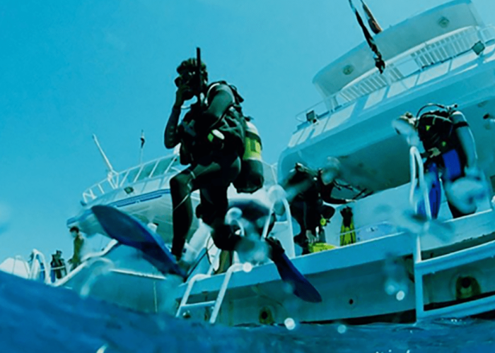 What means diving liveaboard?