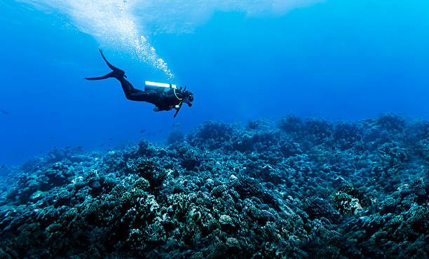 PADI Rescue Diver course Phuket Thailand