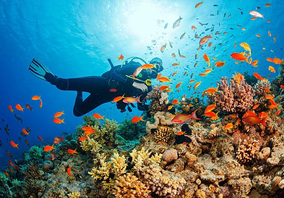 Padi Scuba diving Refresh Course Diving Phuket Thailand