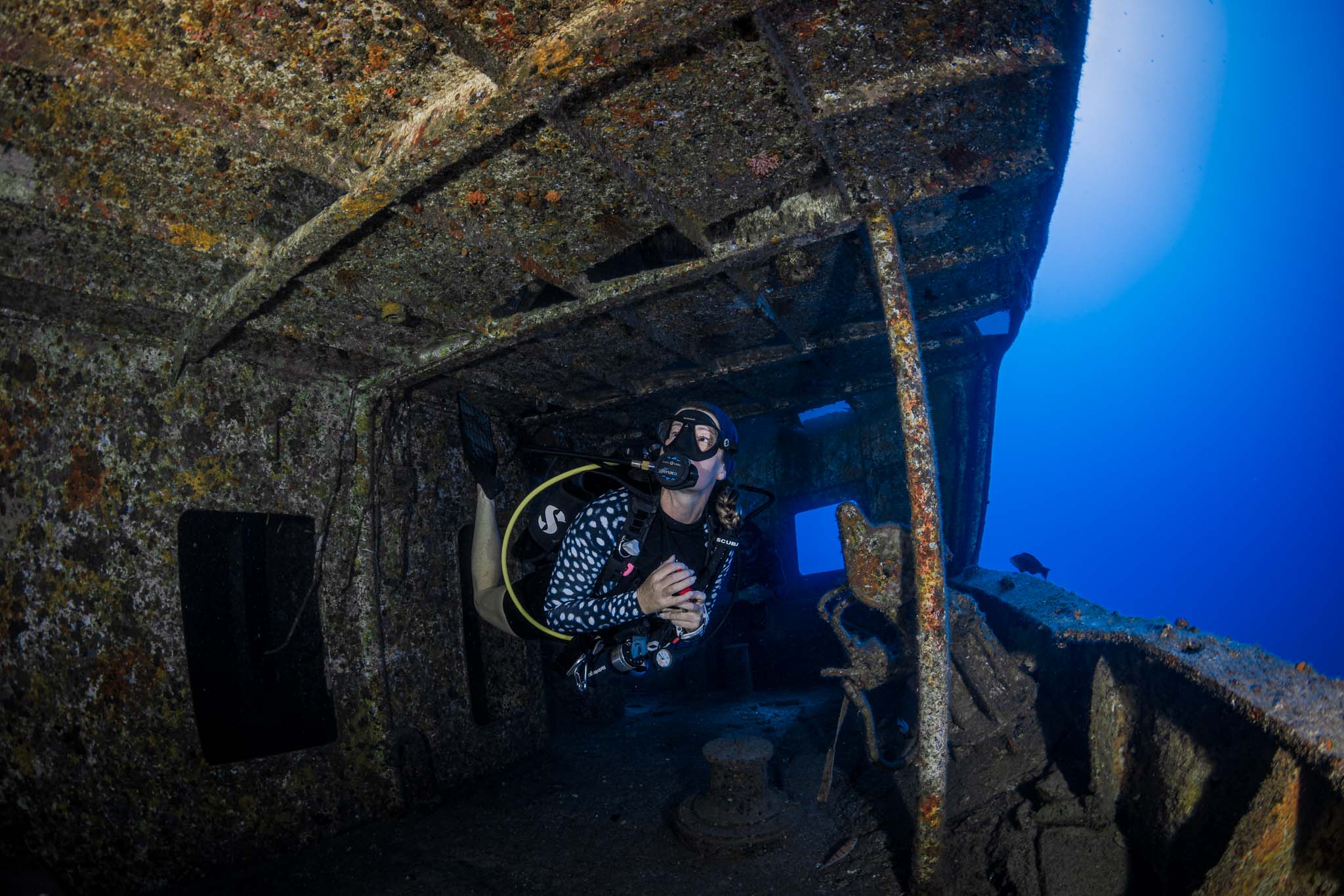 SeaUrchin Wreck diving Wracktauchen Mauritius