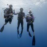 Ausbildungs Angebote Kurs Kombinationen Course Promotion Dive Training sale Specialty