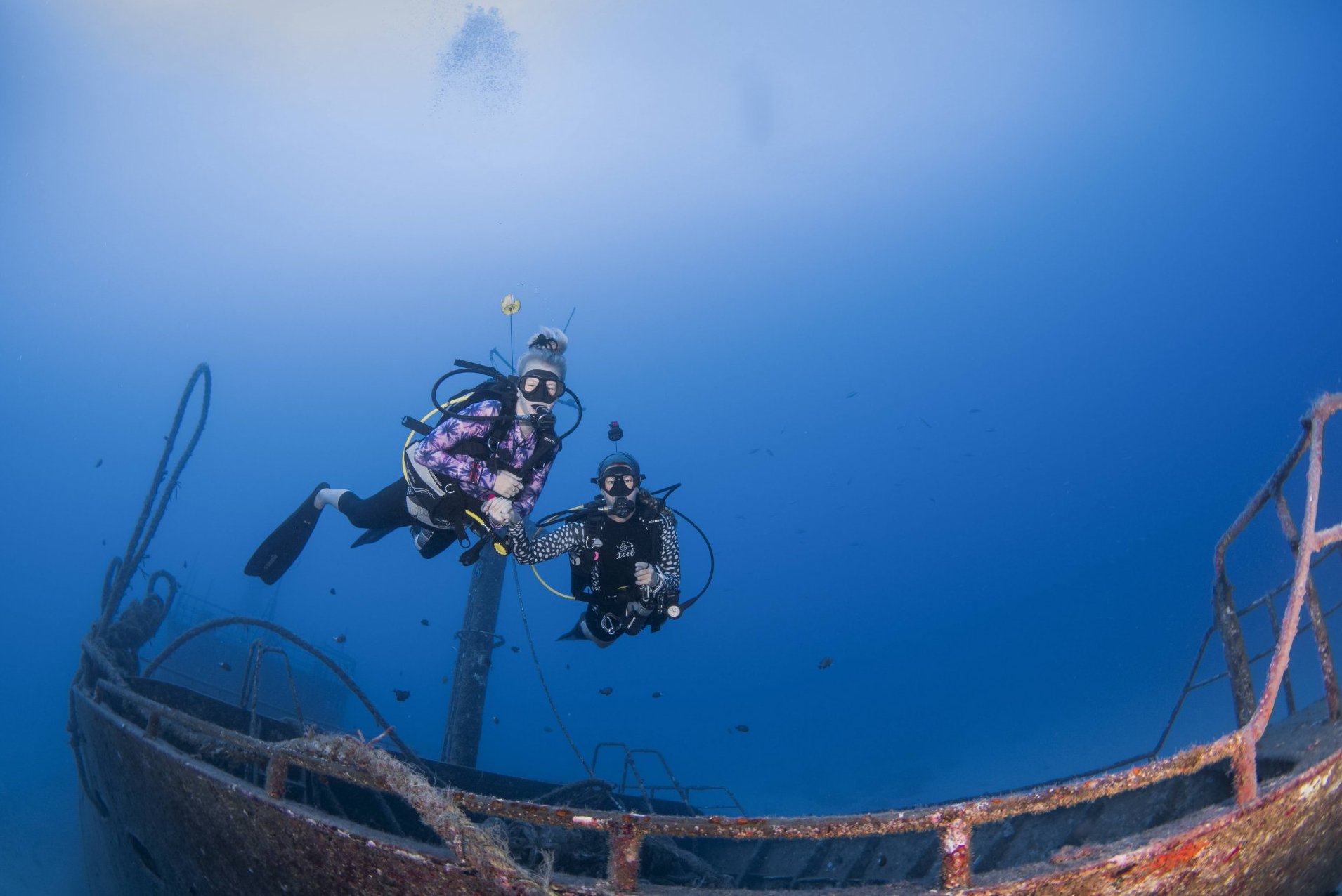 SeaUrchin Wreck diving Wracktauchen Mauritius