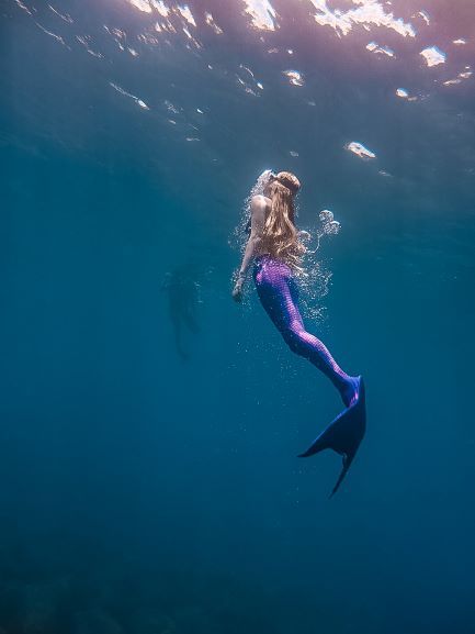 The Evolution of Mermaid Swimming - SeaUrchin Diving Center
