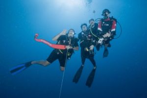 Resident Angebote Promotion DiveCenter Mauritius SeaUrchin Blog Post Diver Scubadiver Tauchen Unterwasserphoto