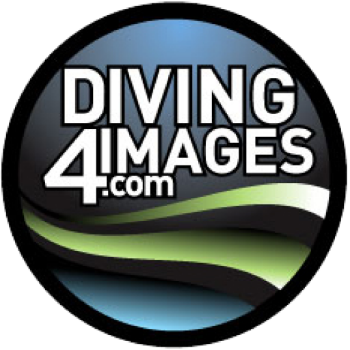 Diving 4 Images