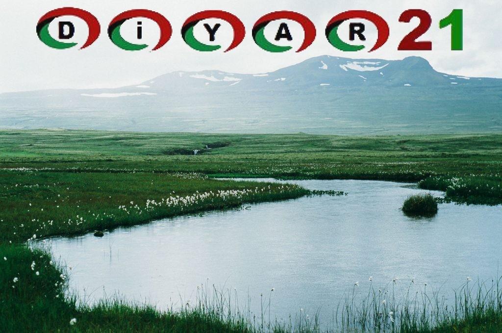 Kocaköy ilçesinde 1 Çoban