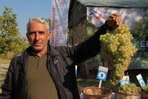 Bağ Bozumu Etkinliği Düzenlendi