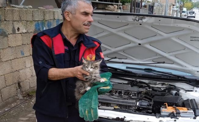 Otomobilin motor kısmına sıkışan kediyi itfaiye kurtardı – Videolu Haber