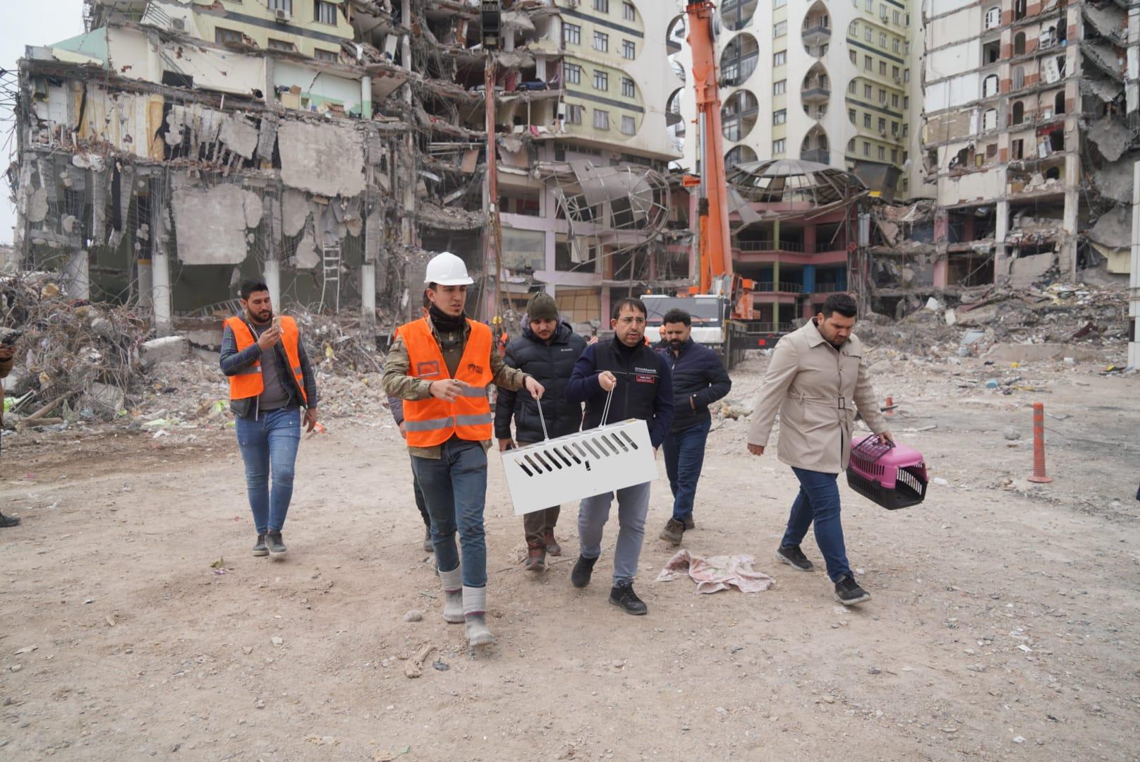 Diyarbakır'da meydana gelen 6 Şubat depremlerinde 89 kişinin hayatını kaybettiği "Galeria Sitesi" davasında, 4 sanığa 17 yıl 6'şar ay hapis cezası verildi.