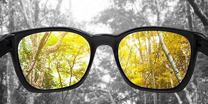 renk körlüğünü anlatmak için hazırlanmış gözlüklü görsel