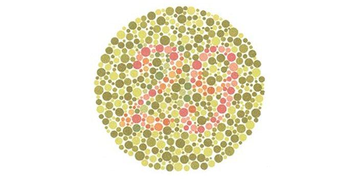 renk körlüğü testi yapmak isteyenler için 29 sayısı görme testi