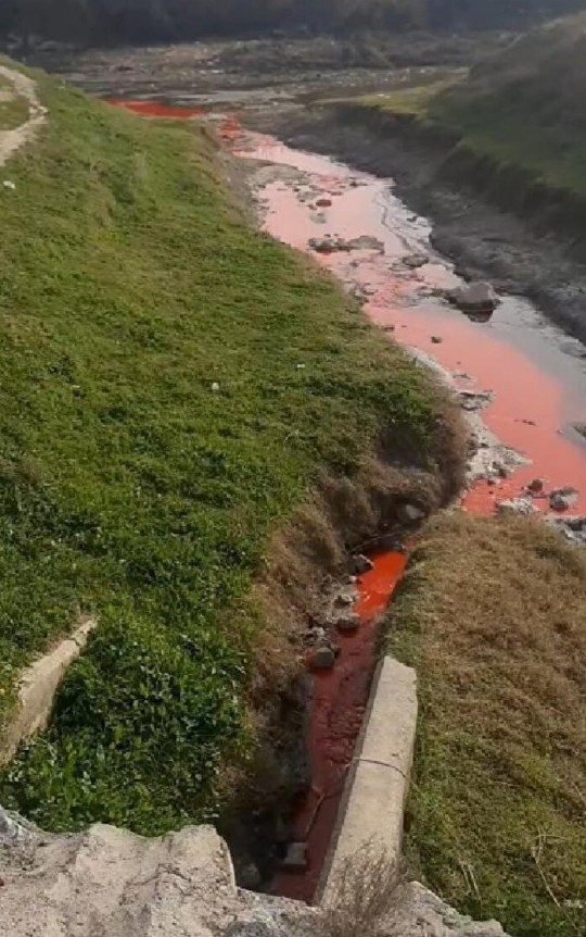Mersin'de gizemli olay: Suyun rengi bir anda kızıla döndü herkes nedenini merak ediyor