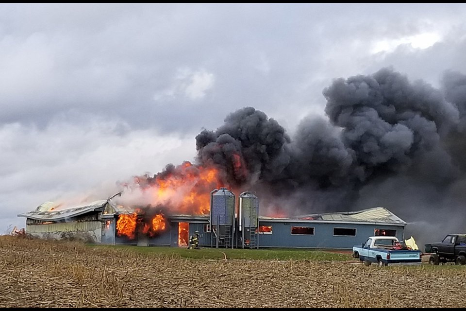 Barn fire near Mount Forest kills 270 animals (3 photos) - Guelph News