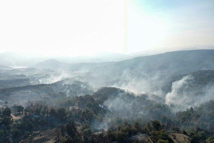 O köyün muhtarı SABAH'a açıkladı! Jandarma ekipleri tespit etti: İşte Çanakkale'deki yangının çıkış nedeni