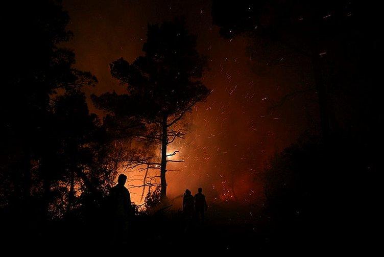 O köyün muhtarı SABAH'a açıkladı! Jandarma ekipleri tespit etti: İşte Çanakkale'deki yangının çıkış nedeni