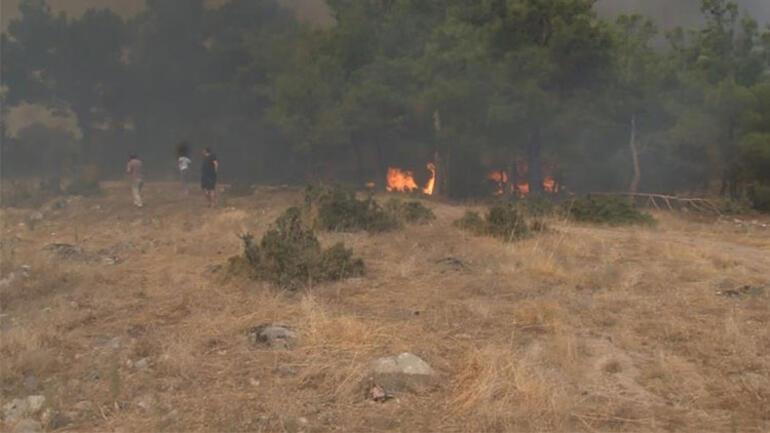 Son dakika... Çanakkale, Bursa ve Bilecikte orman yangını: İki köy boşaltıldı... Çanakkale-Çan yolu tedbir amacıyla ulaşıma kapatıldı