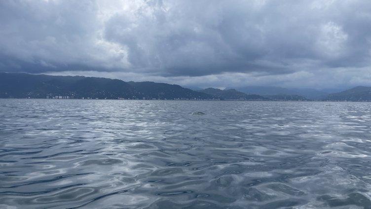 Doğu Karadeniz’de petrol heyecanı! Karadeniz enerji kaynağına dönüşecek! Kalitesi tespit edilecek