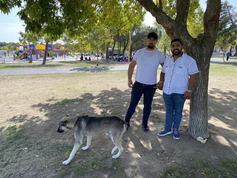 Domuz avında Fransız kadını böyle buldular Kedi sesi sandılar, çukura yaklaşınca dehşete düştüler