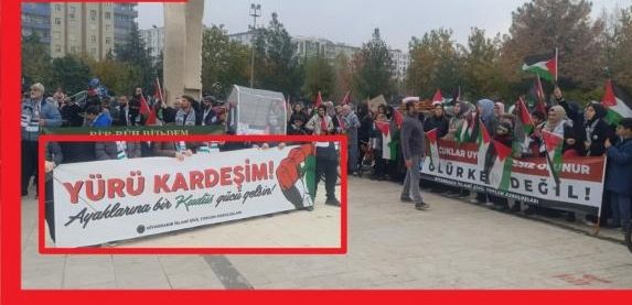 diyarbakir-da-israil-in-gazze-politikalarina-karsi-buyuk-capli-protesto_1