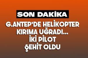 2e04a9e3-31f8-4604-a005-892308c7f673