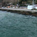 İstanbul’da denizden çuval çuval yapılmış büyü çıktı