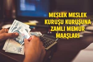 Meslek meslek kuruşu kuruşuna zamlı memur maaşları