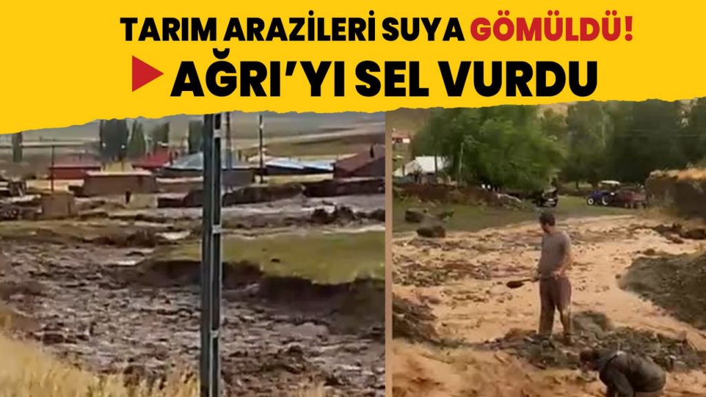 Sel Ağrı'da tarım arazilerini vurdu