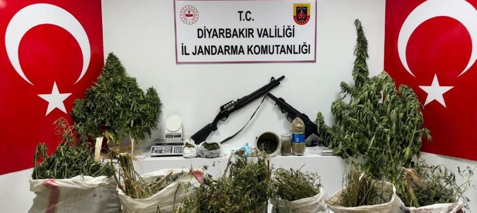 Diyarbakır'da 177 bin kök kenevir ve skunk bitkisi ile 65 kilogram esrar ele geçirildi