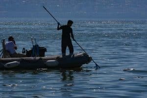 İzmir Körfezi’nde alarm Ölü balıklar kıyıya vurdu