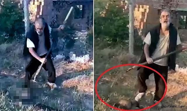 Yavru Köpeği Dirgen Saplayarak Öldürdü