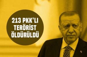 Erdoğan : Irak ve Suriye'de 213 terörist öldürüldü