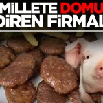 İşte millete domuz eti yediren firmalar