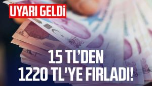 15 TL’den 1220 TL'ye fırladı!