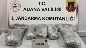 Adana'da bir otomobilde esrar ele geçirildi: 2 tutuklama