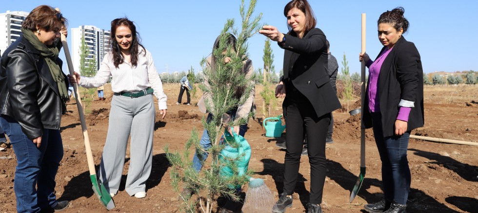 Eş Başkan Bucak: Kadına yönelik şiddete karşı mücadelemiz başarıya ulaşacak