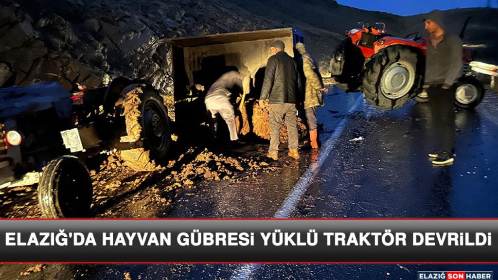 Elazığ'da Hayvan Gübresi Yüklü Traktör Devrildi