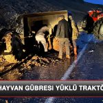 Elazığ’da Hayvan Gübresi Yüklü Traktör Devrildi